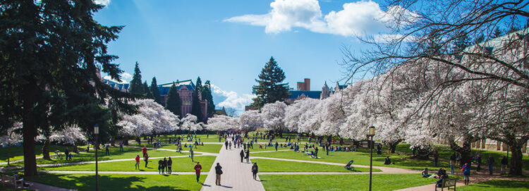 University of Washington campus